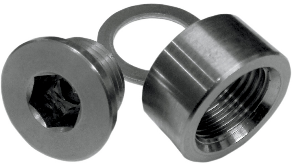 Lossa Engineering Weld in O2 bung kit