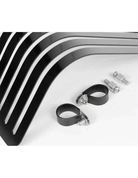 Baak Engine protection for Triumph (pre-2016)