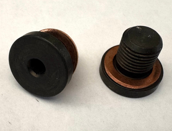 Lossa Engineering O2 block off screw kit for Triumph