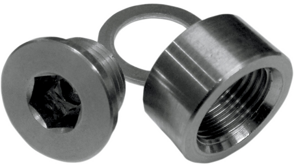 Lossa Engineering Weld in O2 bung kit