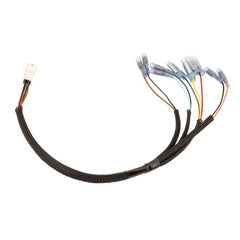 Motone Plug and Play Wiring Harness Adapter - Triumph Speed Twin 1200 EUR5 Only