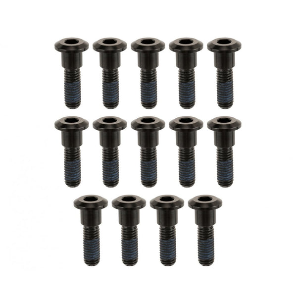 Motone TITAN BOLTS Titanium Brake Rotor Bolts for LQ Triumph/ dual disc